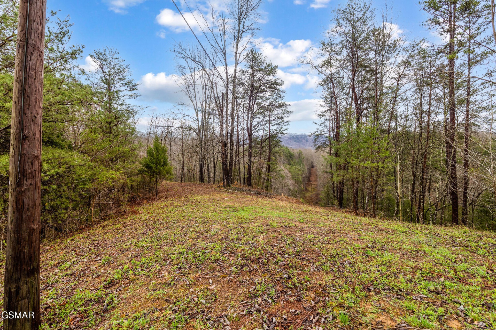 2 Dripping Springs Road Seymour, TN 37865 - Photo 19 of 22 Gallery Image 19