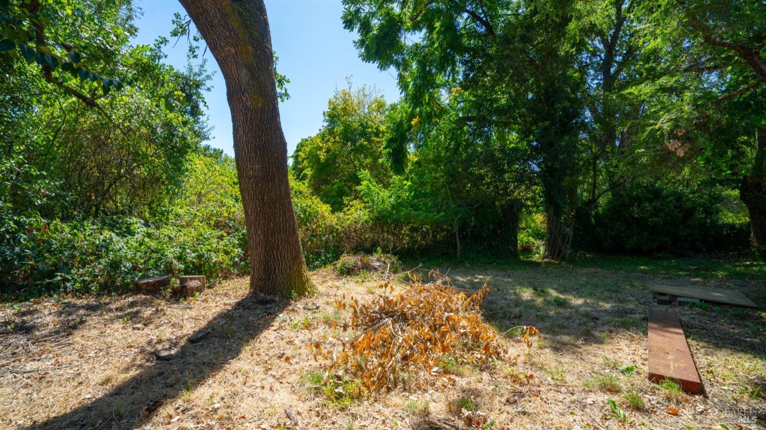 5210-5214 Fulton Road Santa Rosa, CA 95403 - Photo 57 of 60 a backyard of a house with lots of green space