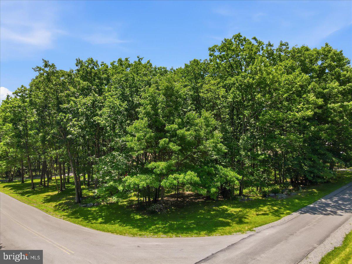 177 Jay Effort, PA 18330 - Photo 46 of 47 Lush greenery at a serene intersection.