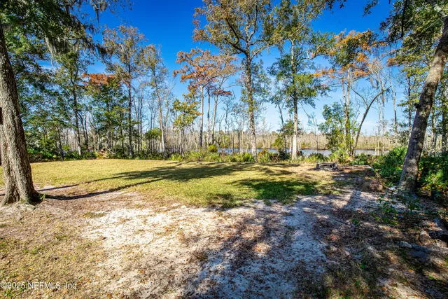a view of a yard with plants and trees