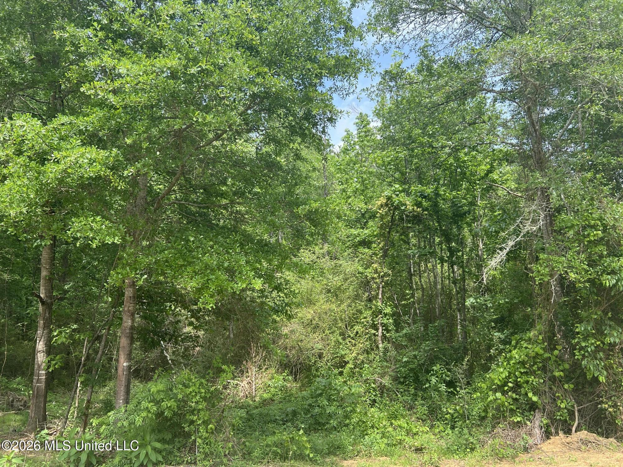 1846 Loring Road Camden, MS 39045 - Photo 27 of 28 IMG_7621