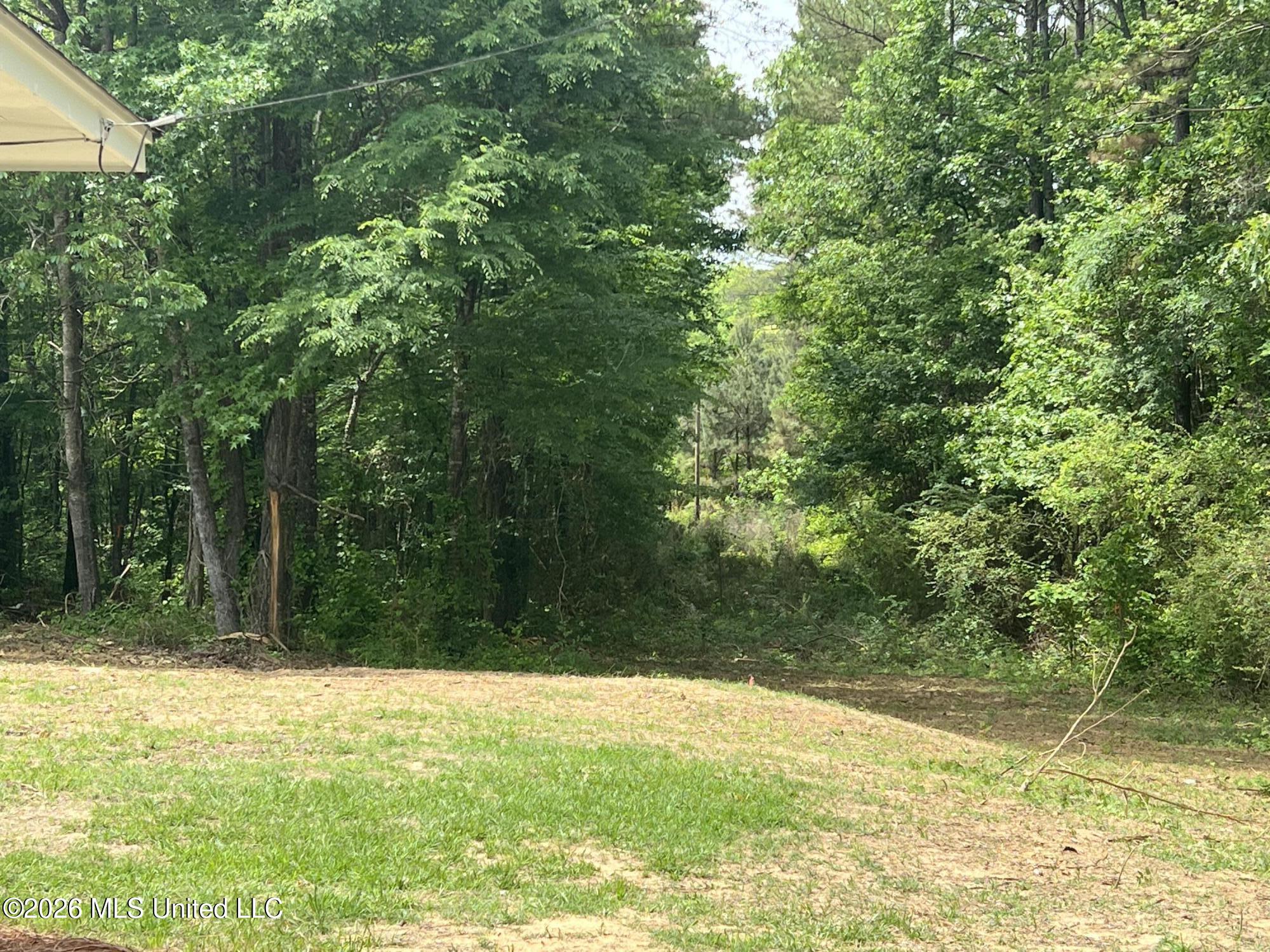 1846 Loring Road Camden, MS 39045 - Photo 28 of 28 IMG_7622