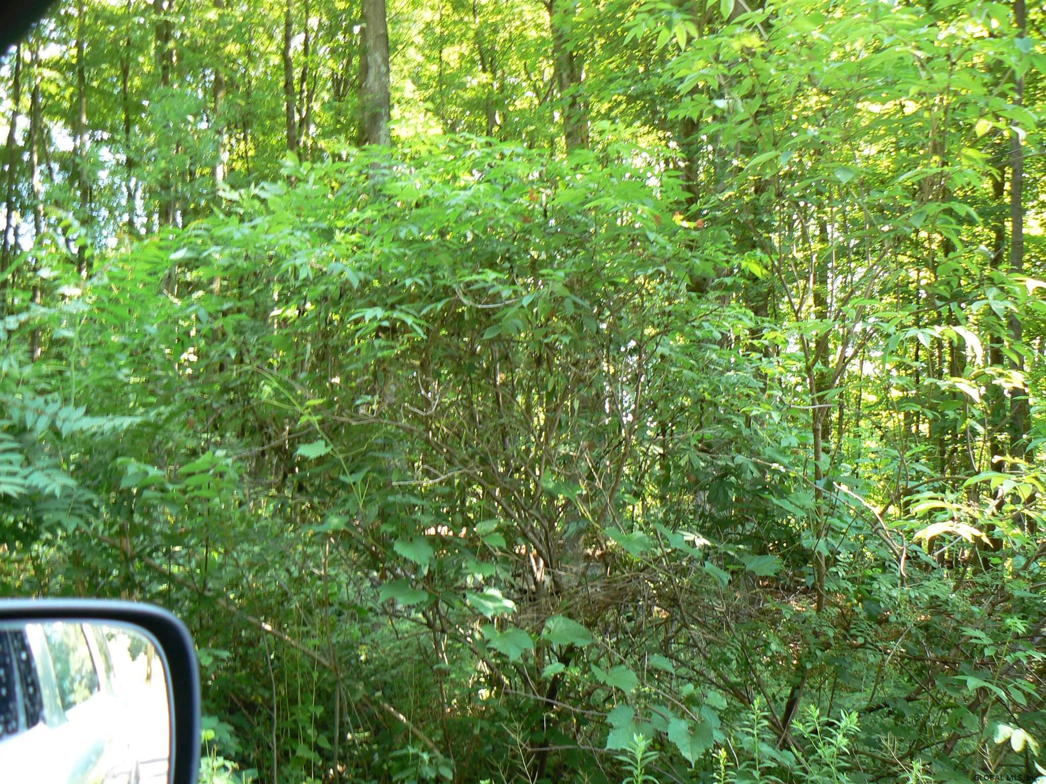 0 Staco Road Hannacroix, NY 12087 - Photo 8 of 10 Photo 8