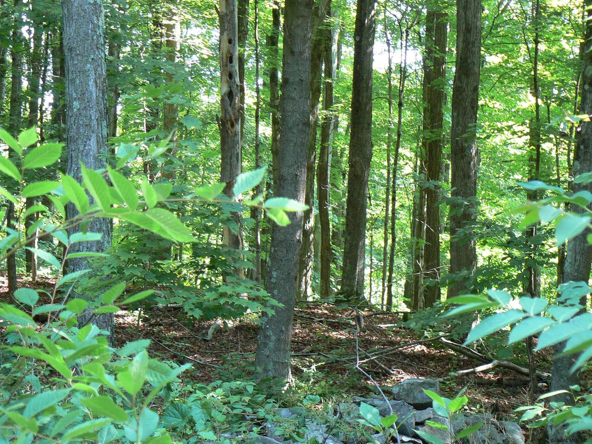 0 Staco Road Hannacroix, NY 12087 - Photo 9 of 10 Photo 9