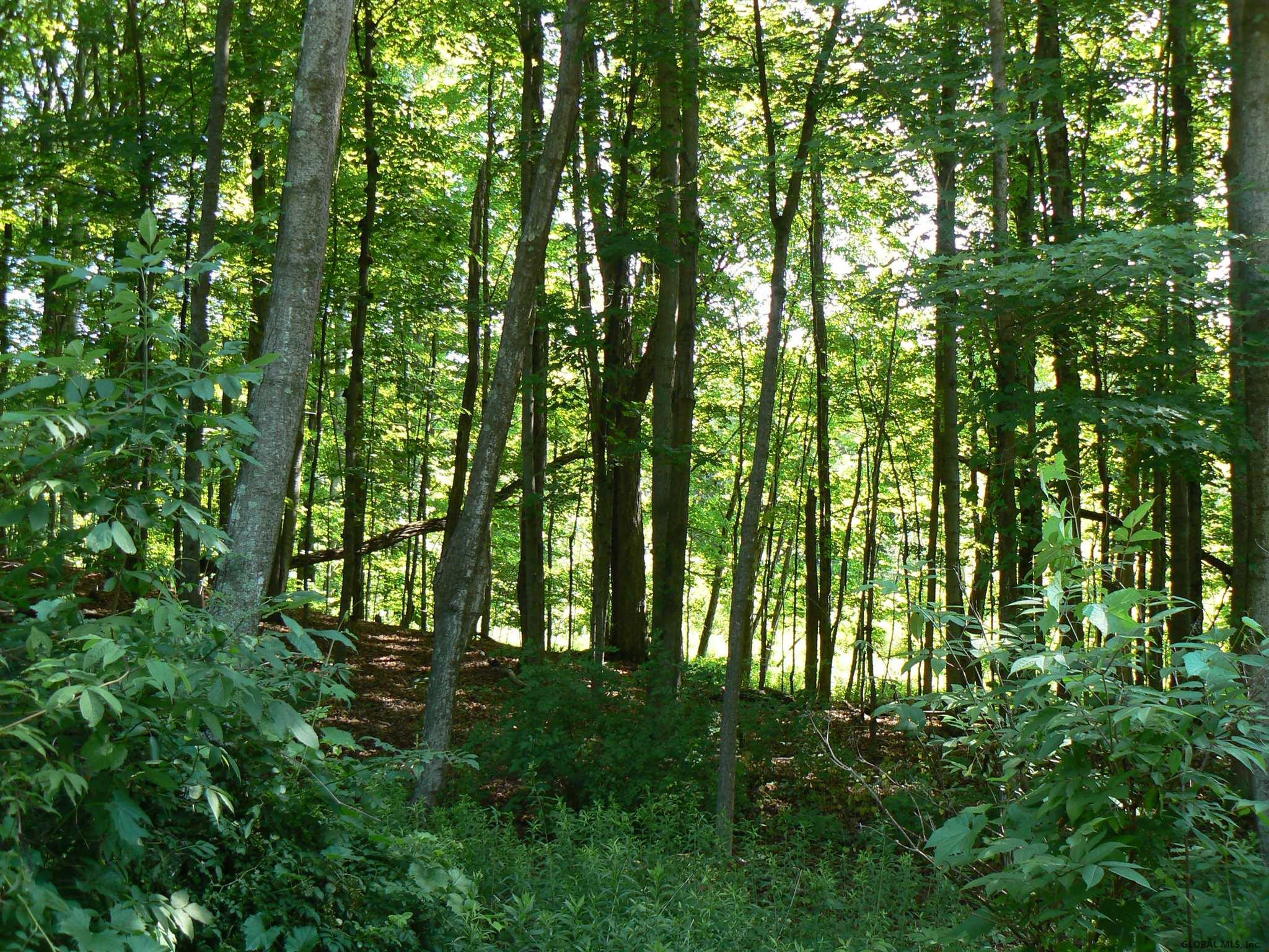 0 Staco Road Hannacroix, NY 12087 - Photo 10 of 10 Photo 10