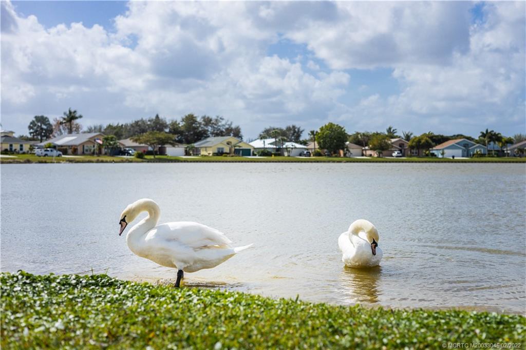 2441 Southwest Omega Way Stuart, FL 34997 - Photo 25 of 37 Gallery Image 25