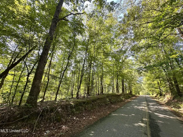 $605,000 | 2 Prentiss Crump Road, Terry, MS 39170