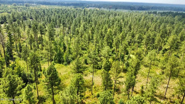 $605,000 | 2 Prentiss Crump Road, Terry, MS 39170