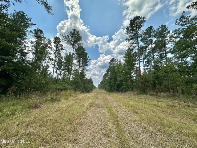 $605,000 | 2 Prentiss Crump Road, Terry, MS 39170