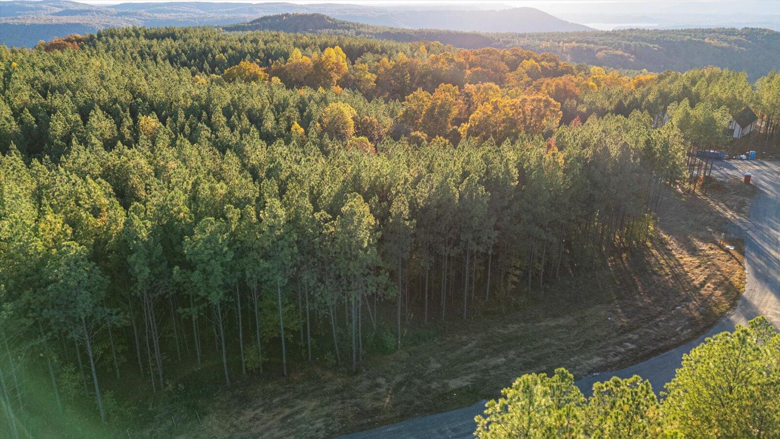 0 Legacy Drive, Unit LOT 1153 Guild, TN 37340 - Photo 9 of 15 08-Legacy Dr lot 1153-8