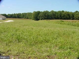 0 5 5 Mile Branch Road Newark, MD 21841 - Photo 1 of 1