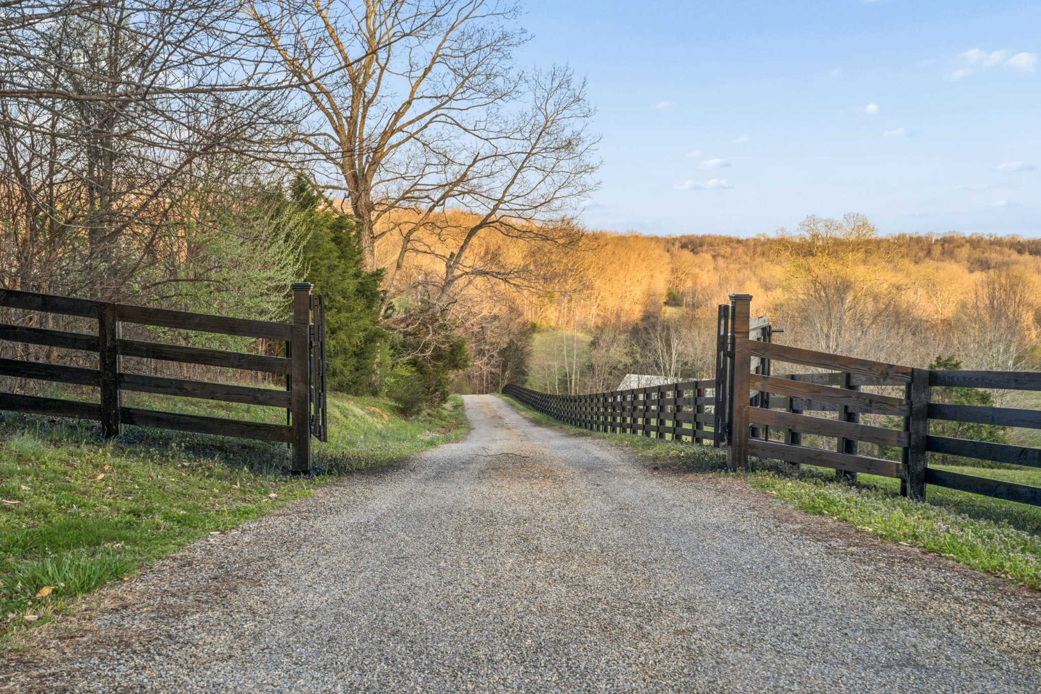 683 Johnson Branch Road Williamsport, TN 38487 - Photo 2 of 63