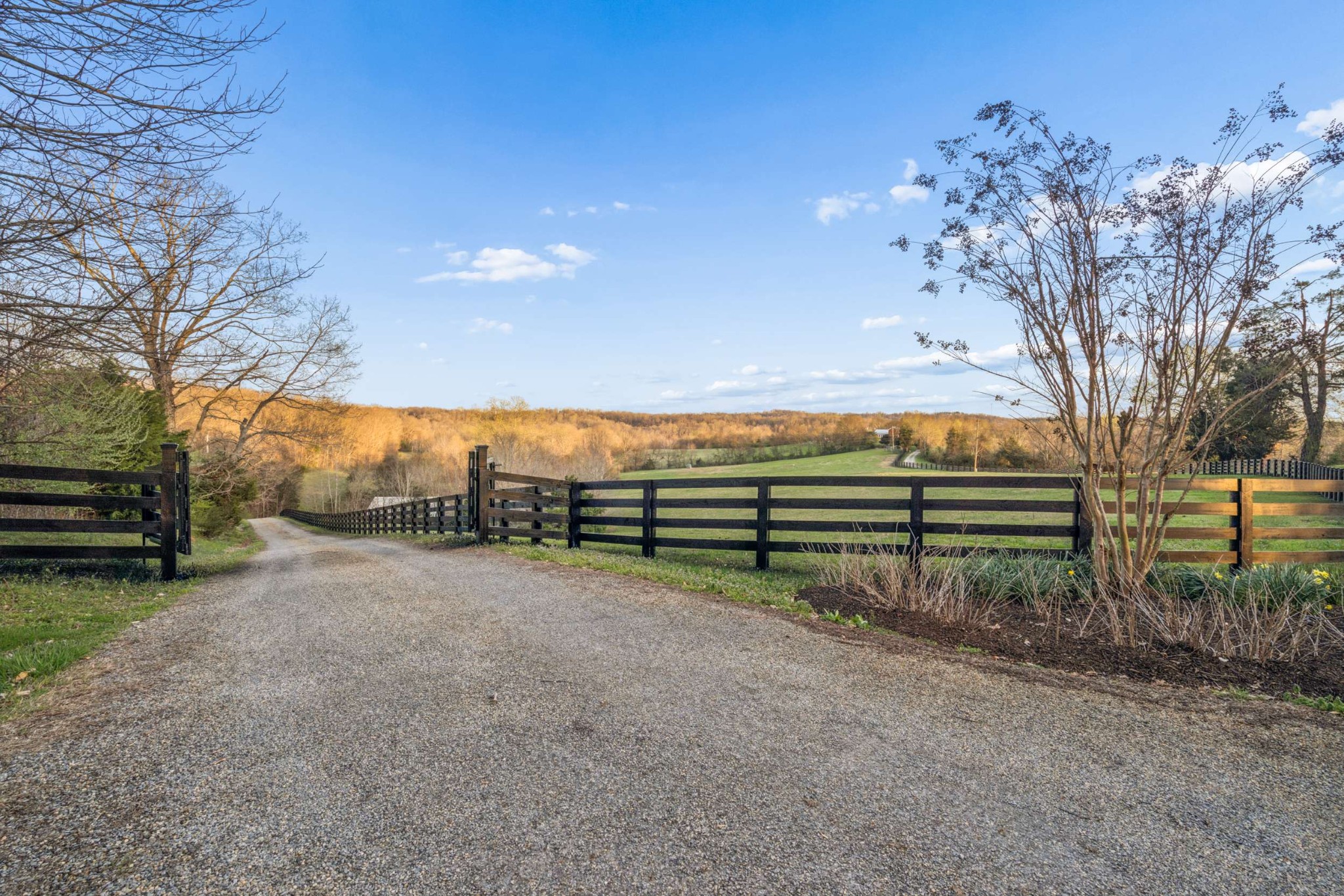 683 Johnson Branch Road Williamsport, TN 38487 - Photo 3 of 63