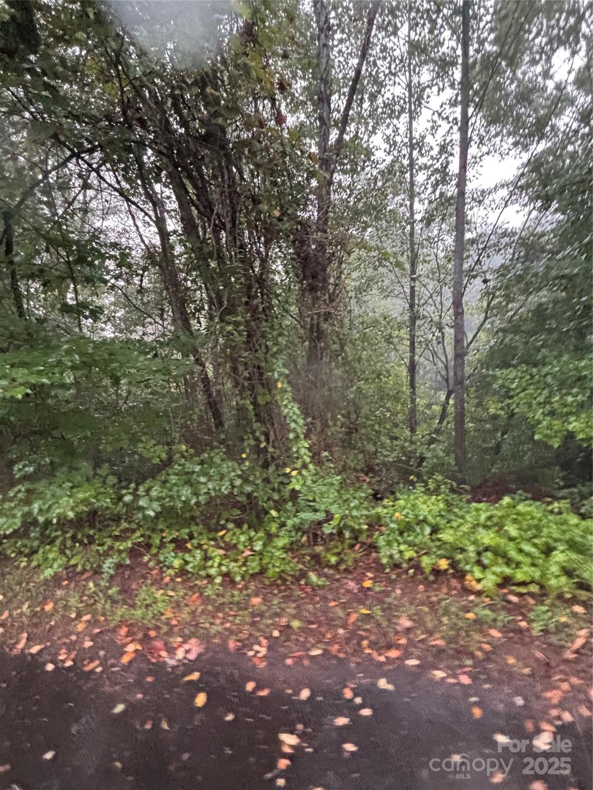 6460 Ridgeview Circle Granite Falls, NC 28630 - Photo 2 of 2 a big yard with lots of green space and fog