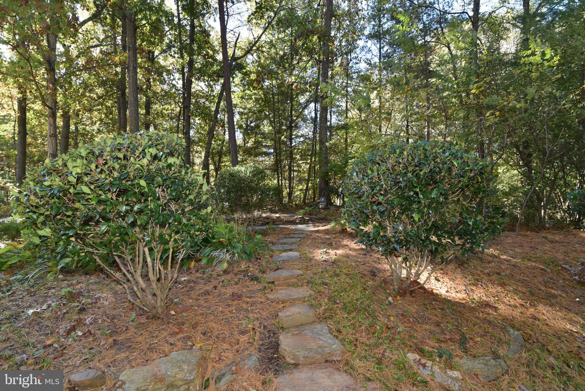 11117 Glade Drive Reston, VA 20191 - Photo 17 of 75 Steps lead to another stone patio in the front.