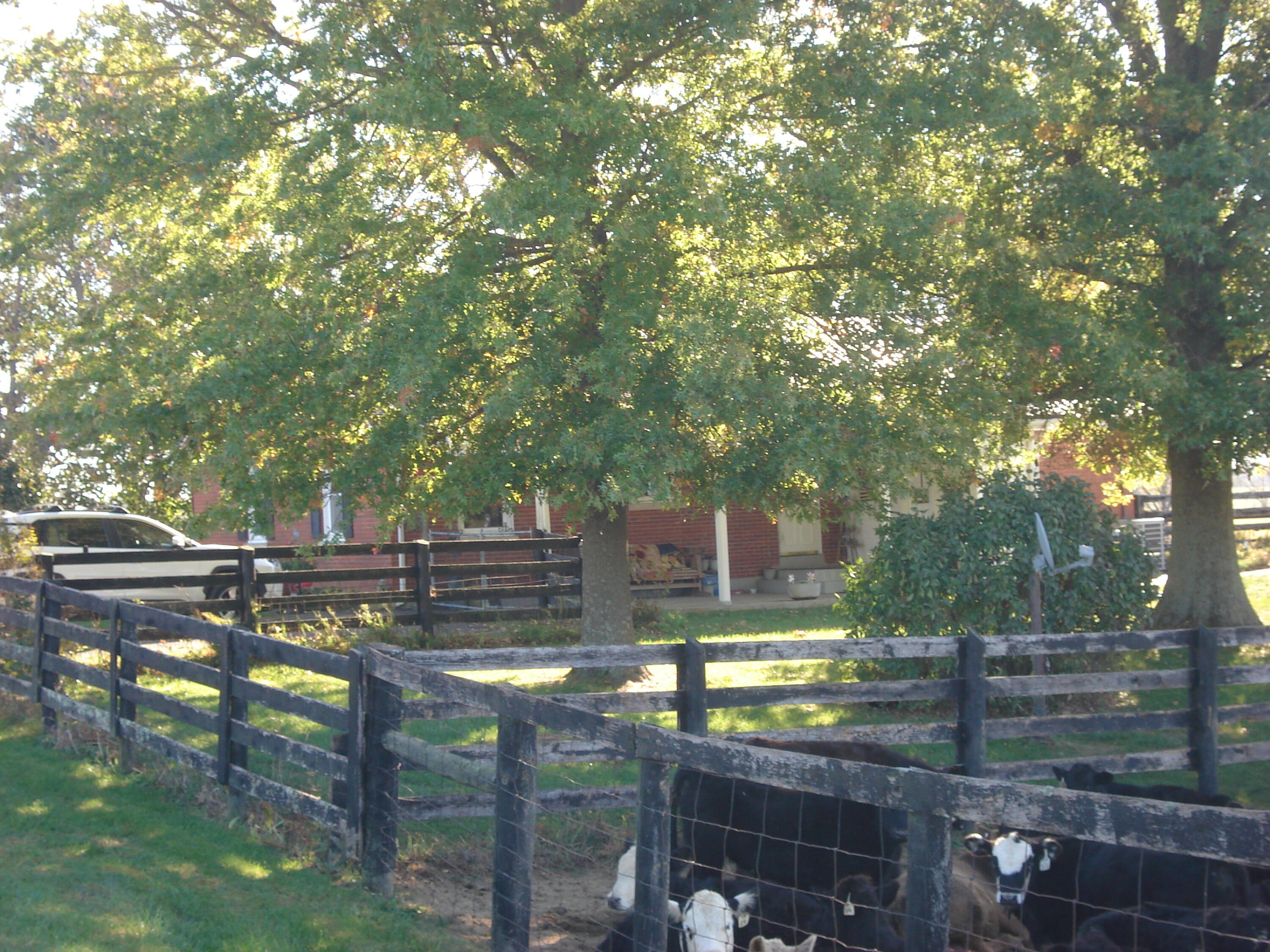 951 Colville Road Paris, KY 40361 - Photo 9 of 22 DSC01291