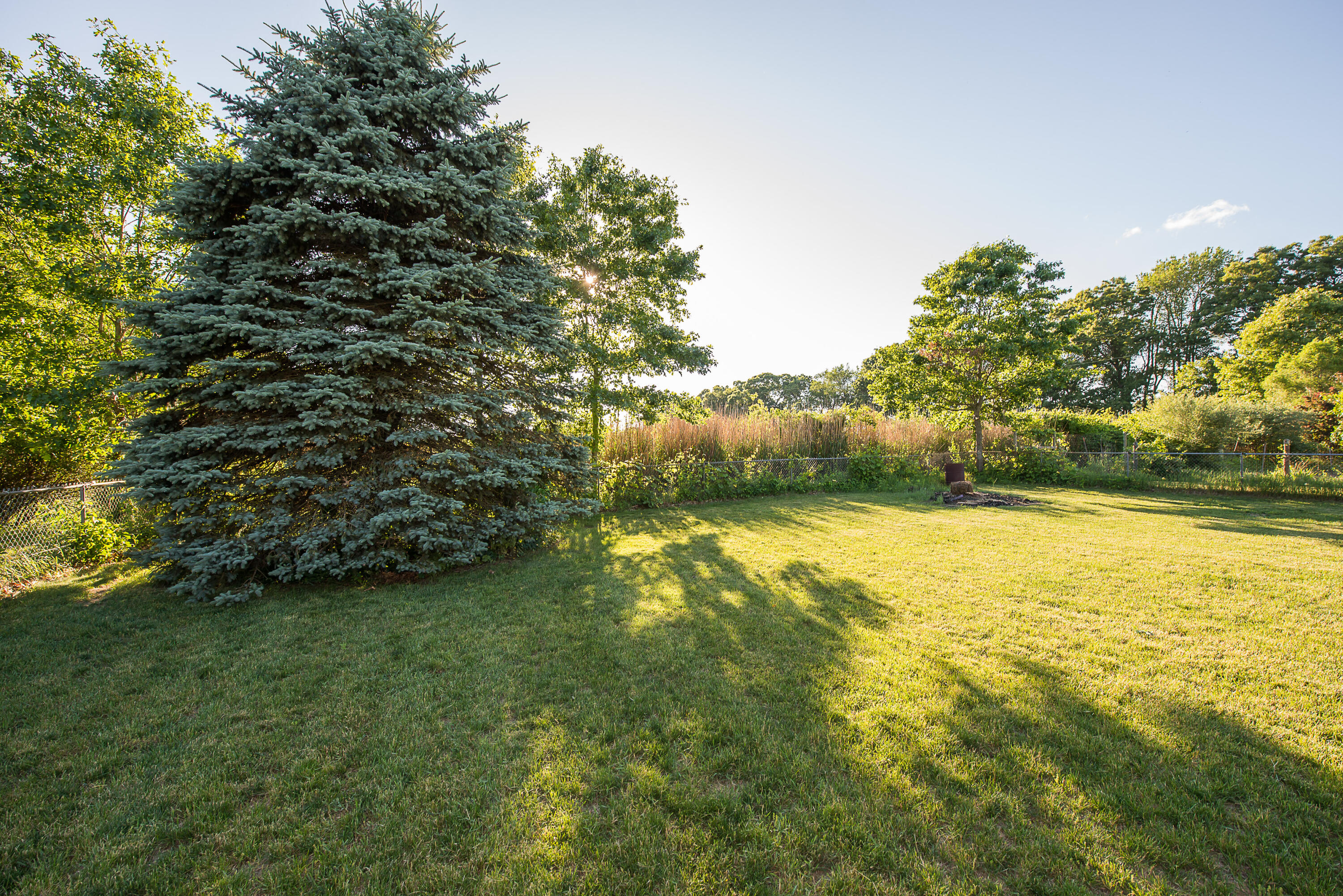8280 Clear Lake Road Grass Lake, MI 49240 - Photo 33 of 35 DSC_1100