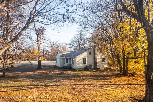 a view of a yard with a large tree