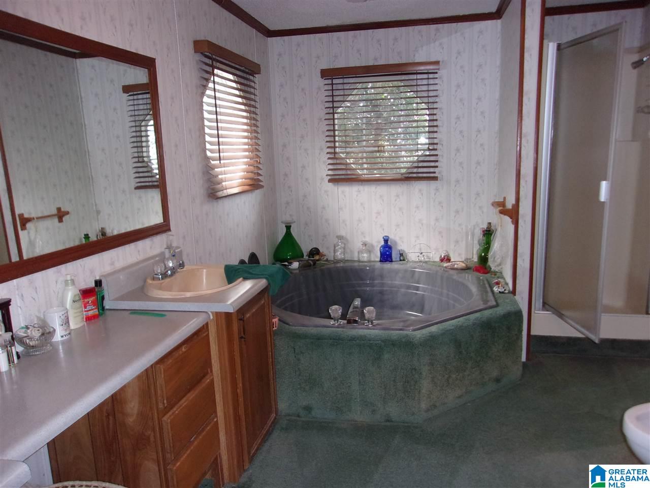 4700 Masters Road Pell City, AL 35128 - Photo 23 of 29
