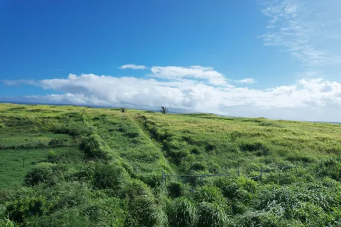$269,296 | 63 St Kamaoa Homestead Naalehu Hi 96772, Captain Cook, HI 96704