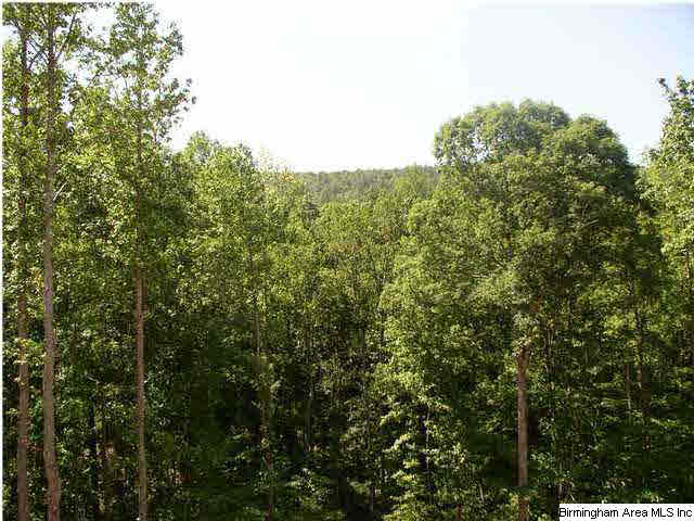 420 Ridgeview Trail, Unit 420 Pelham, AL 35124 - Photo 2 of 2