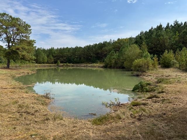 370 Doyle Road Middleton, TN 38052 - Photo 12 of 17 a view of a lake from a lake