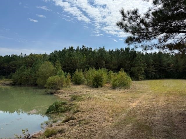 370 Doyle Road Middleton, TN 38052 - Photo 13 of 17 a view of a lake with a yard