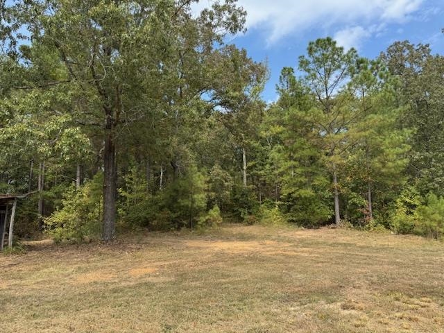 370 Doyle Road Middleton, TN 38052 - Photo 15 of 17 a view of a yard