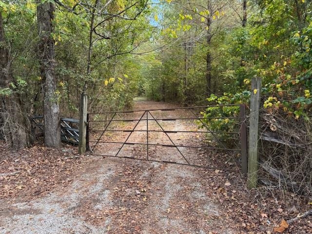 370 Doyle Road Middleton, TN 38052 - Photo 16 of 17 a picture of a yard