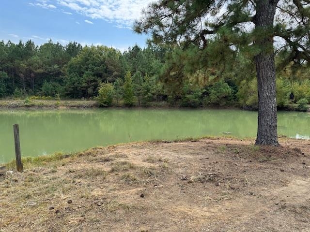 370 Doyle Road Middleton, TN 38052 - Photo 2 of 17 a view of a lake with a trees