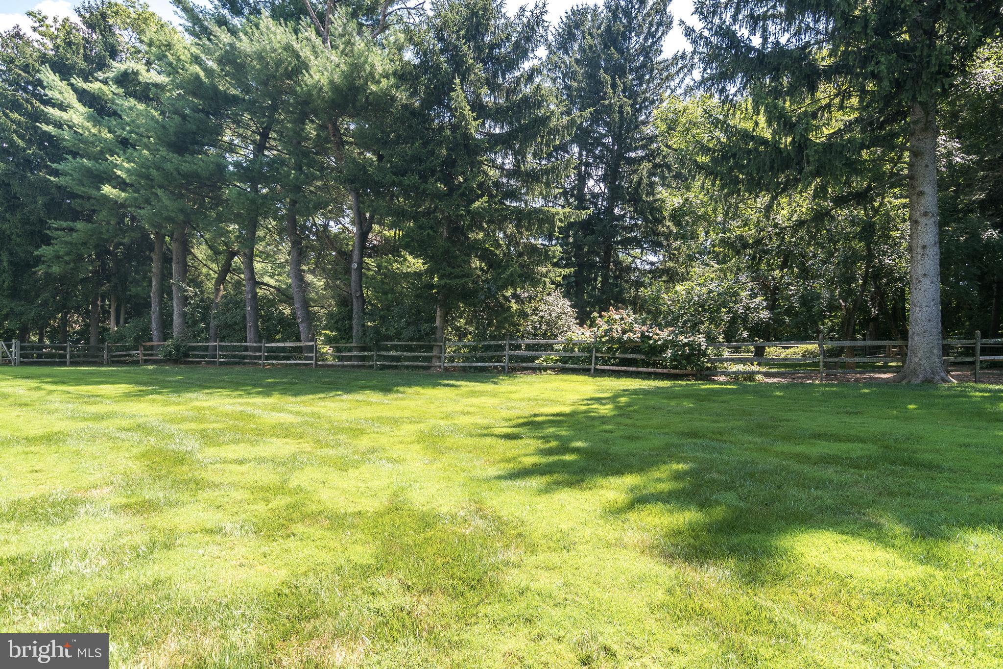 7258 Beech Road Ambler, PA 19002 - Photo 43 of 44 Rear yard