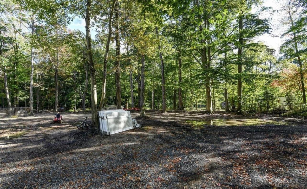 58 Miller Road Cranbury, NJ 08512 - Photo 3 of 4 a view of a backyard with large trees