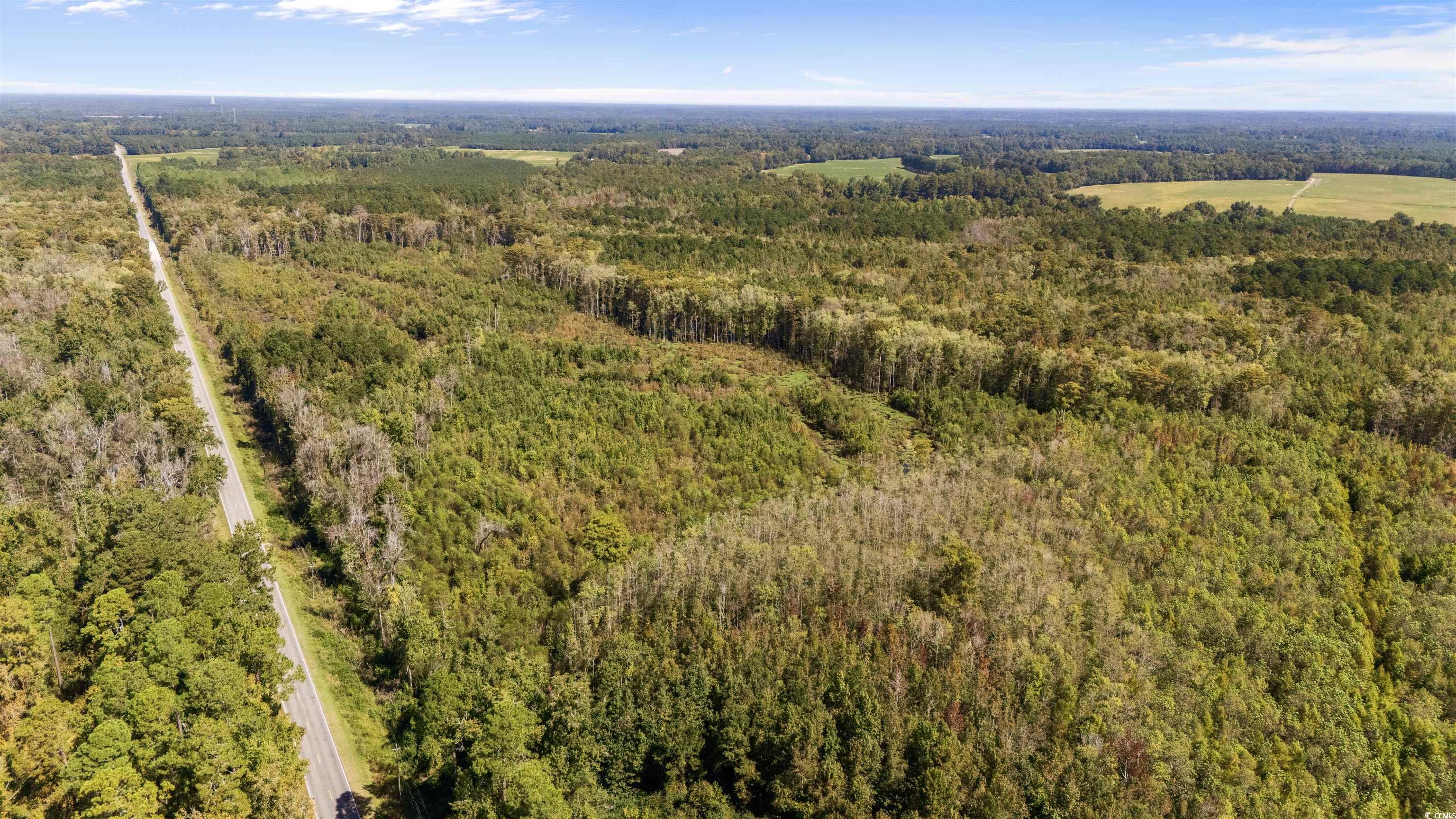 0 Schofield Place Fork, SC 29543 - Photo 8 of 9 Bird's eye view of a heavily wooded area