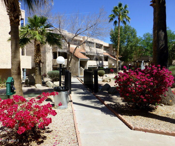 1645 West Baseline Road, Unit 2164 Mesa, AZ 85202 - Photo 3 of 71 EXTERIOR GROUNDS & WALKWAY - Property9