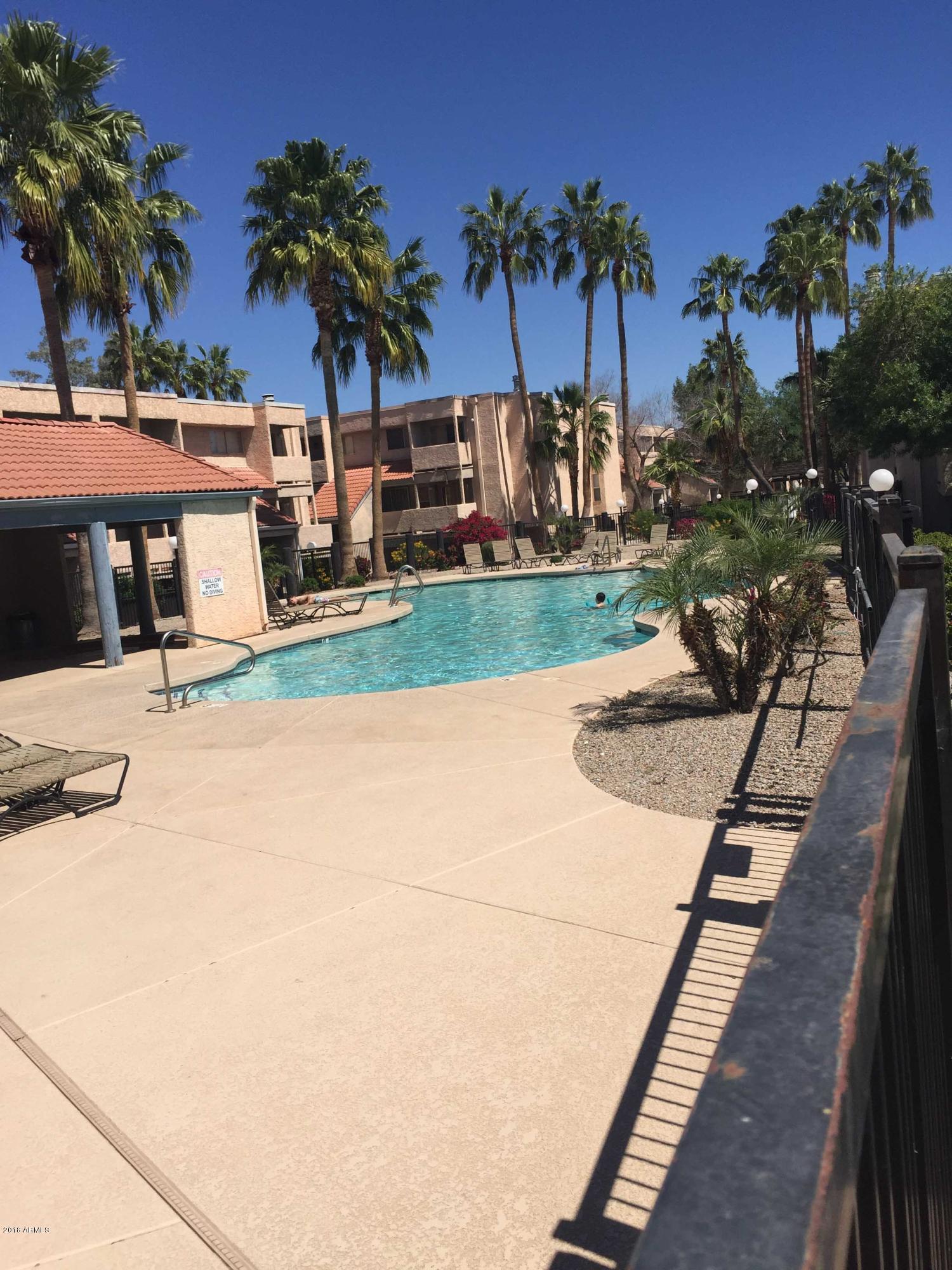 1645 West Baseline Road, Unit 2164 Mesa, AZ 85202 - Photo 7 of 71 LARGE HEATED COMMUNITY POOL - IMG_3915