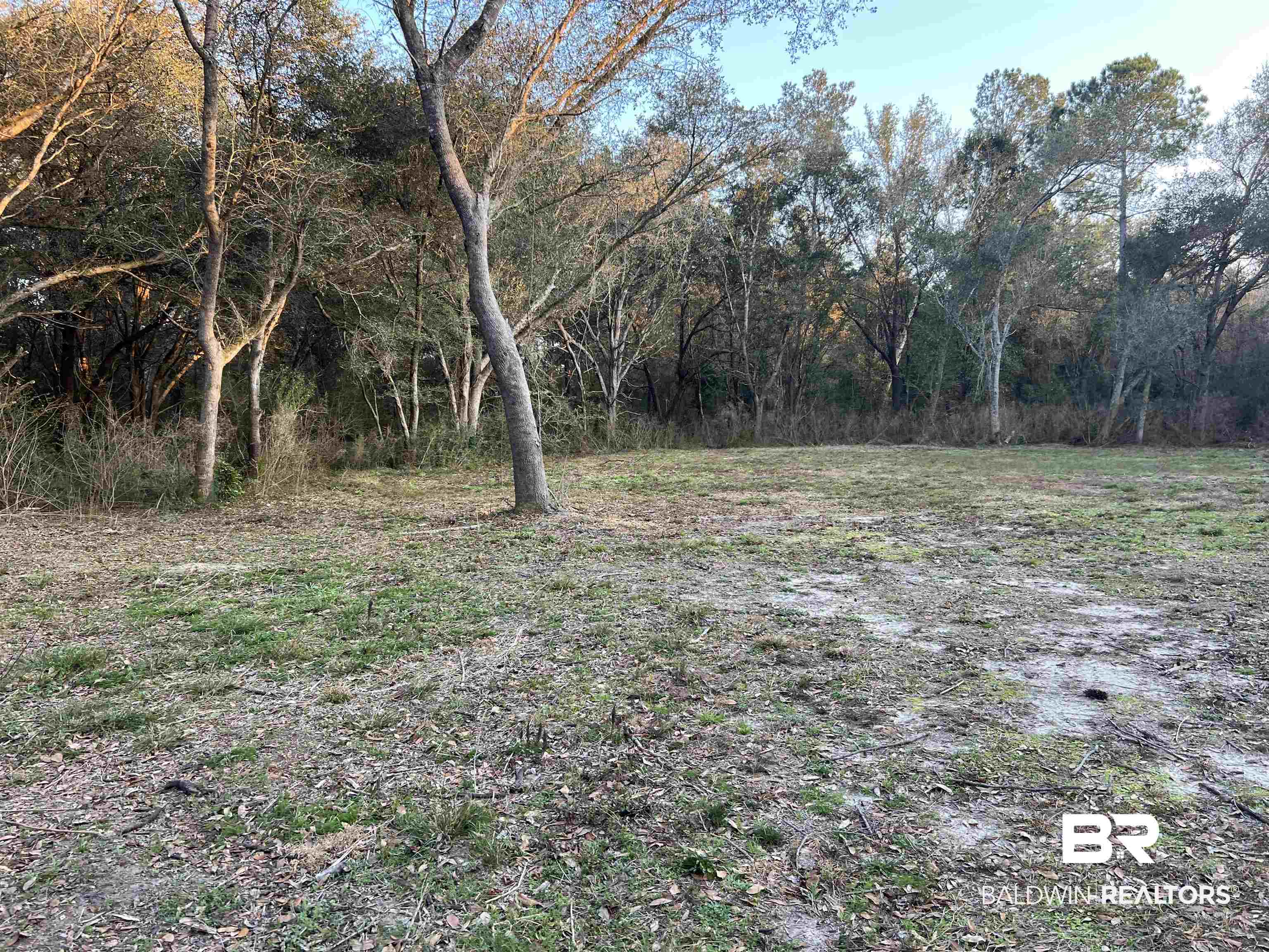 20568 Keller Road Foley, AL 36535 - Photo 10 of 13 View of yard
