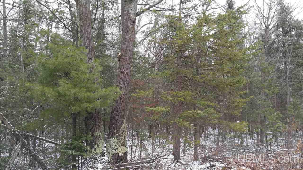 73-acres Co Rd 480 Marquette, MI 49855 - Photo 15 of 18