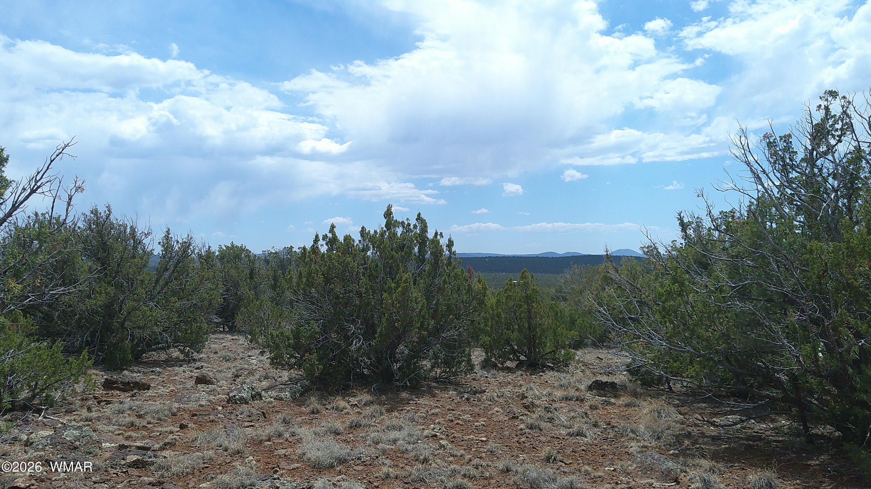 74 Co Road Concho, AZ 85924 - Photo 9 of 11 DSCF0002