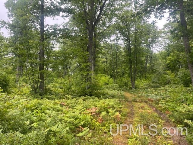 565 County Road 565 Road Gwinn, MI 49841 - Photo 19 of 35