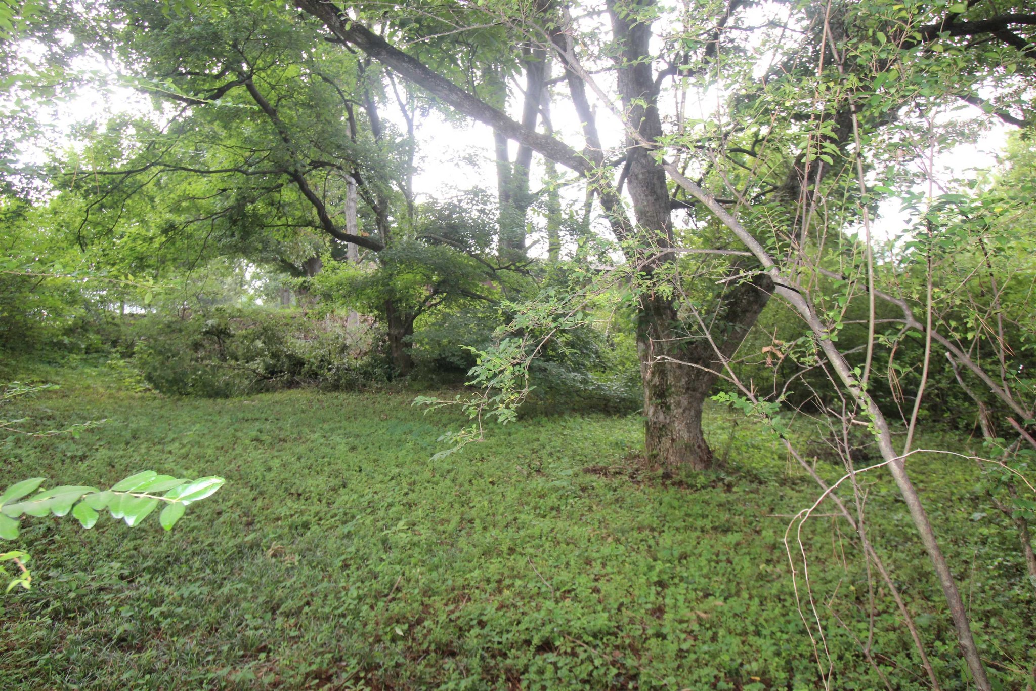 2952 Fargo Road Memphis, TN 38128 - Photo 18 of 19 Gallery Image 18