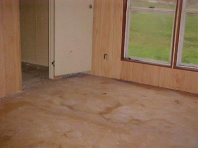 5791 Usborne Road Freeport, MI 49325 - Photo 6 of 10 Additional Photo
