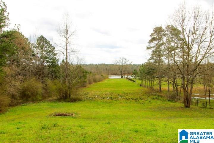 2391 Lock 3 Road Ragland, AL 35131 - Photo 28 of 37