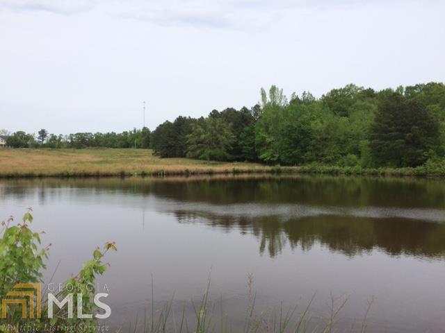 0 School Road Hampton, GA 30228 - Photo 1 of 1