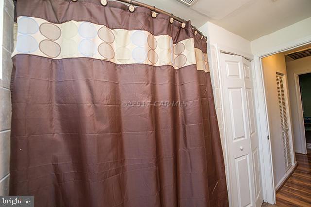 31403 Melson Road Delmar, MD 21875 - Photo 15 of 38 a bathroom with a shower and a curtain