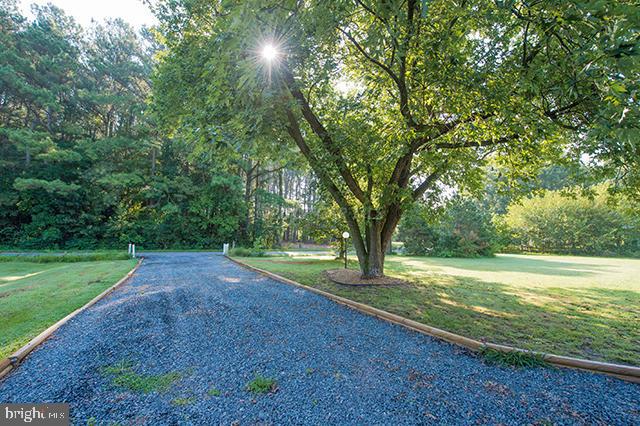 31403 Melson Road Delmar, MD 21875 - Photo 29 of 38 a view of outdoor space with trees all around