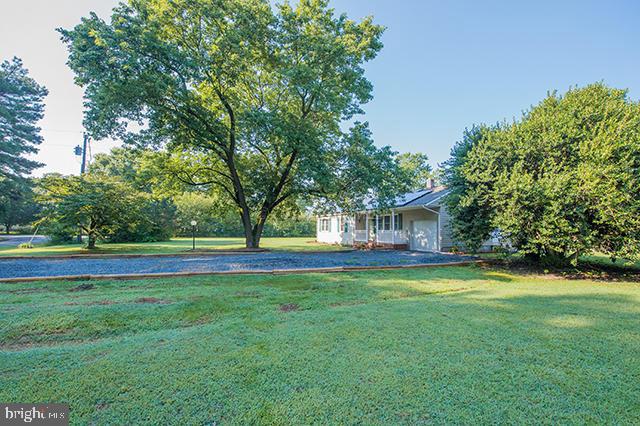 31403 Melson Road Delmar, MD 21875 - Photo 31 of 38 a view of a house with a big yard and a large tree