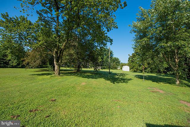 31403 Melson Road Delmar, MD 21875 - Photo 34 of 38 a view of a park with large trees