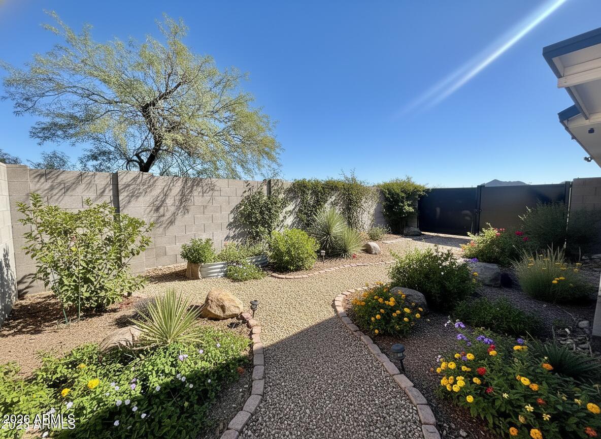 150 West North Street Ajo, AZ 85321 - Photo 35 of 37 a view of a bunch of flowers