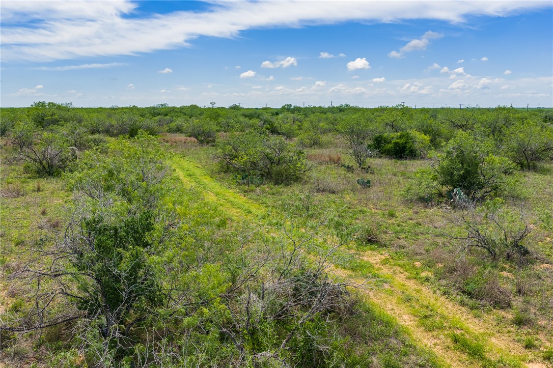 0 Fm 3249 Realitos, TX 78376 - Photo 12 of 12 a view of outdoor space and yard
