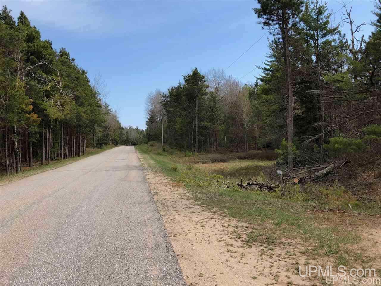 Tbd South Lake Michigan Shores Road Gulliver, MI 49840 - Photo 5 of 13